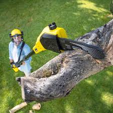 Best Lawn Drainage Solutions  in Owings, MD