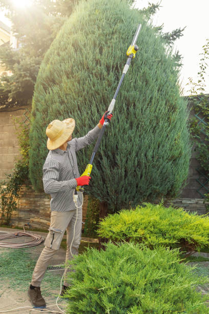 Best Pest Control for Lawns  in Owings, MD
